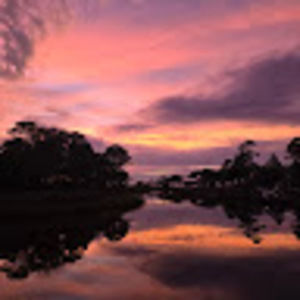 Meet your Posher, Constance